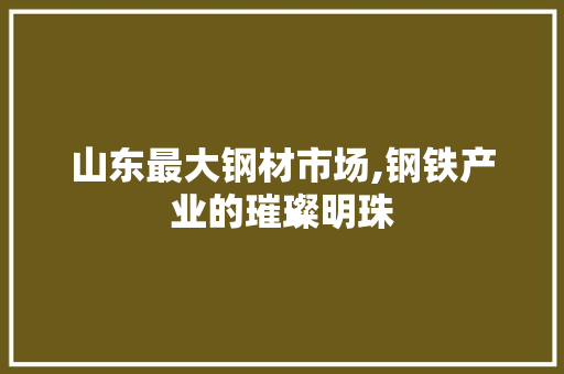 山东最大钢材市场,钢铁产业的璀璨明珠