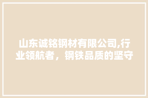 山东诚铭钢材有限公司,行业领航者，钢铁品质的坚守者