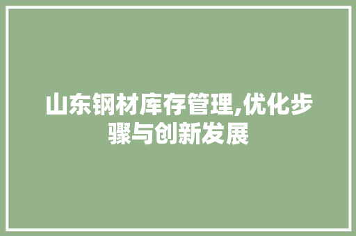 山东钢材库存管理,优化步骤与创新发展
