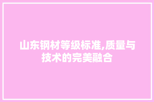 山东钢材等级标准,质量与技术的完美融合