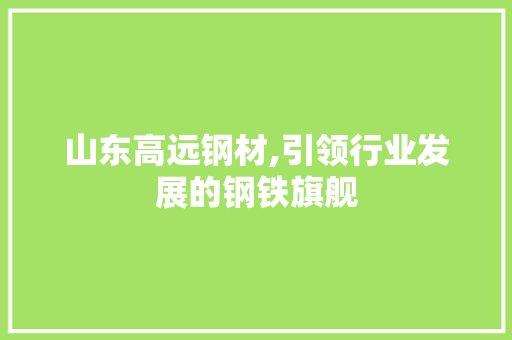 山东高远钢材,引领行业发展的钢铁旗舰