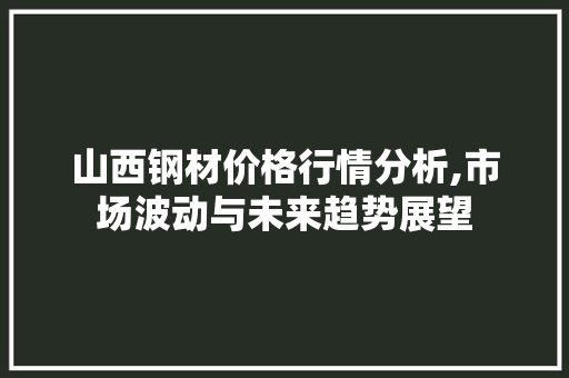 山西钢材价格行情分析,市场波动与未来趋势展望