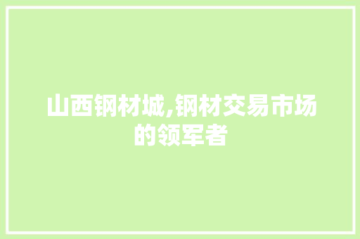 山西钢材城,钢材交易市场的领军者