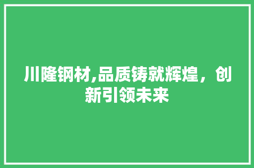 川隆钢材,品质铸就辉煌，创新引领未来