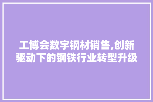 工博会数字钢材销售,创新驱动下的钢铁行业转型升级