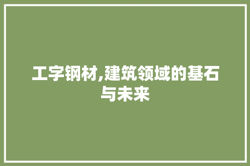 工字钢材,建筑领域的基石与未来