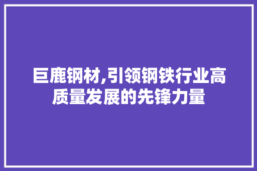 巨鹿钢材,引领钢铁行业高质量发展的先锋力量