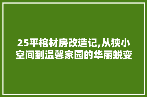 25平棺材房改造记,从狭小空间到温馨家园的华丽蜕变