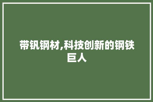 带钒钢材,科技创新的钢铁巨人