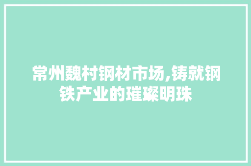 常州魏村钢材市场,铸就钢铁产业的璀璨明珠