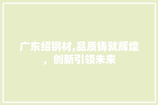 广东绍钢材,品质铸就辉煌，创新引领未来
