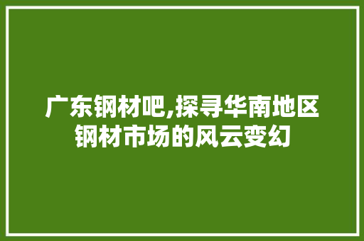 广东钢材吧,探寻华南地区钢材市场的风云变幻