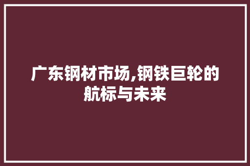 广东钢材市场,钢铁巨轮的航标与未来