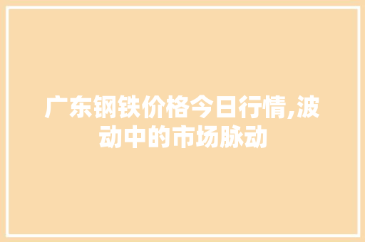 广东钢铁价格今日行情,波动中的市场脉动