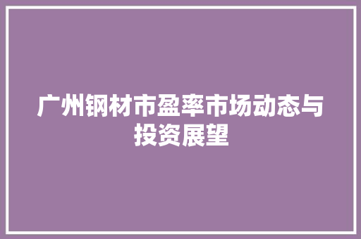 广州钢材市盈率市场动态与投资展望