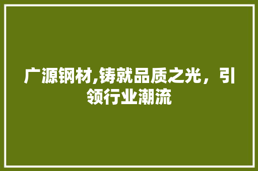 广源钢材,铸就品质之光，引领行业潮流