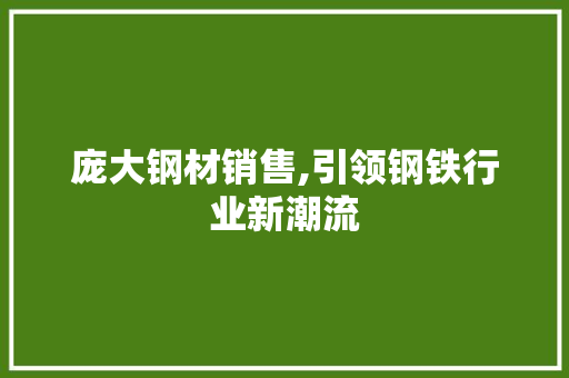 庞大钢材销售,引领钢铁行业新潮流
