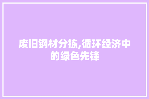 废旧钢材分拣,循环经济中的绿色先锋