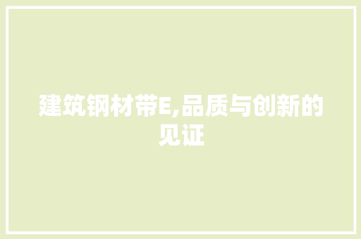 建筑钢材带E,品质与创新的见证