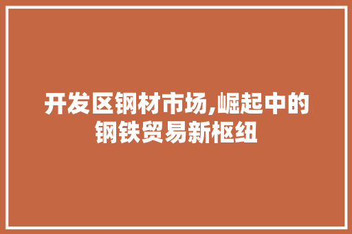 开发区钢材市场,崛起中的钢铁贸易新枢纽
