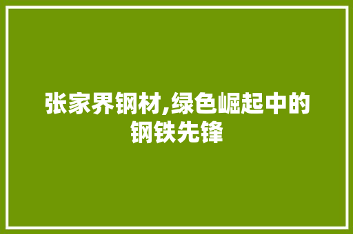 张家界钢材,绿色崛起中的钢铁先锋