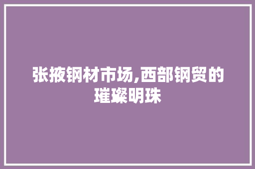 张掖钢材市场,西部钢贸的璀璨明珠