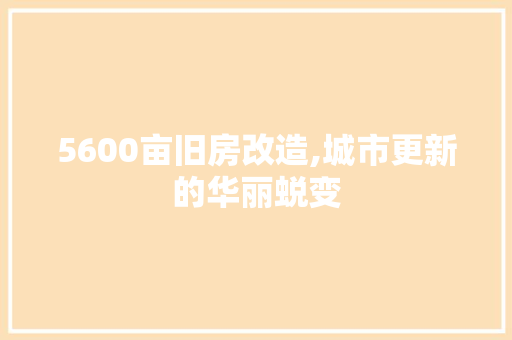 5600亩旧房改造,城市更新的华丽蜕变