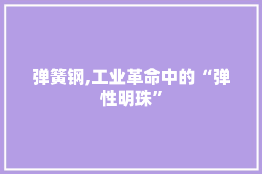 弹簧钢,工业革命中的“弹性明珠”