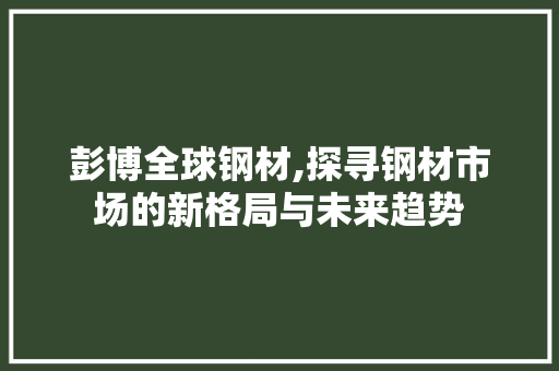 彭博全球钢材,探寻钢材市场的新格局与未来趋势
