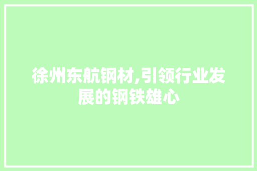 徐州东航钢材,引领行业发展的钢铁雄心