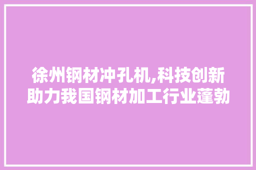 徐州钢材冲孔机,科技创新助力我国钢材加工行业蓬勃发展