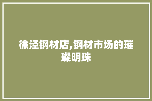 徐泾钢材店,钢材市场的璀璨明珠