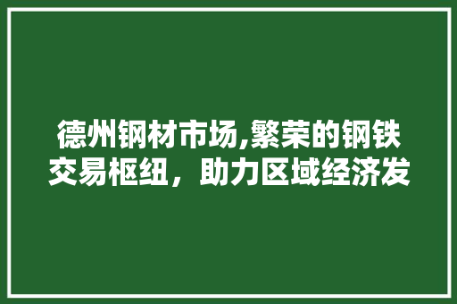 德州钢材市场,繁荣的钢铁交易枢纽，助力区域经济发展