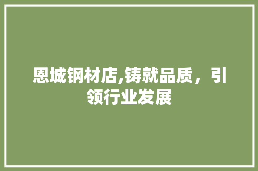 恩城钢材店,铸就品质，引领行业发展