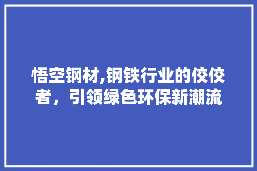 悟空钢材,钢铁行业的佼佼者，引领绿色环保新潮流