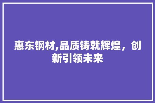 惠东钢材,品质铸就辉煌，创新引领未来