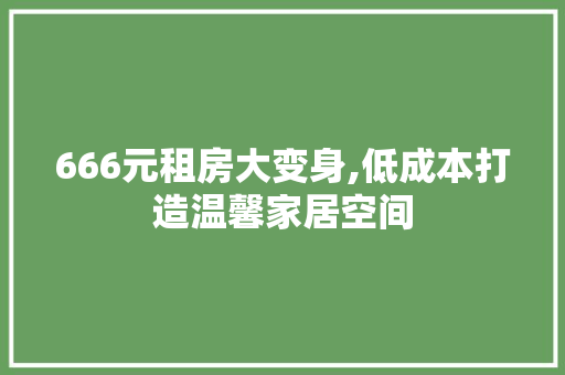 666元租房大变身,低成本打造温馨家居空间