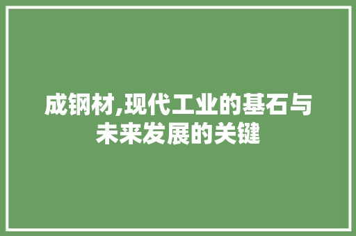 成钢材,现代工业的基石与未来发展的关键