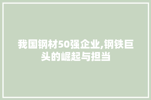 我国钢材50强企业,钢铁巨头的崛起与担当