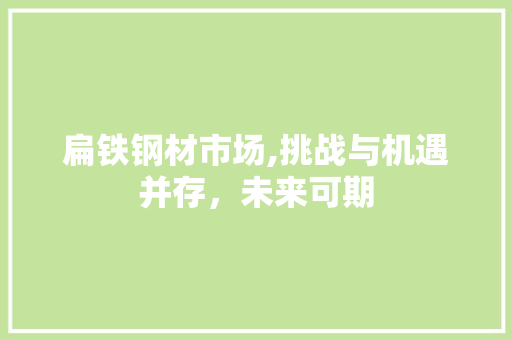 扁铁钢材市场,挑战与机遇并存，未来可期