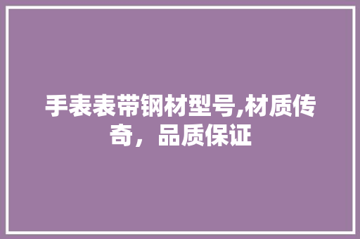 手表表带钢材型号,材质传奇，品质保证