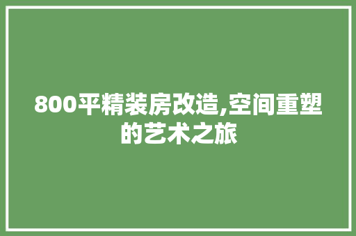 800平精装房改造,空间重塑的艺术之旅