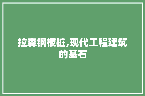 拉森钢板桩,现代工程建筑的基石