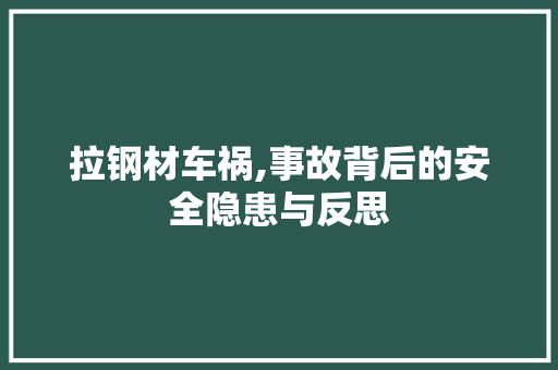 拉钢材车祸,事故背后的安全隐患与反思