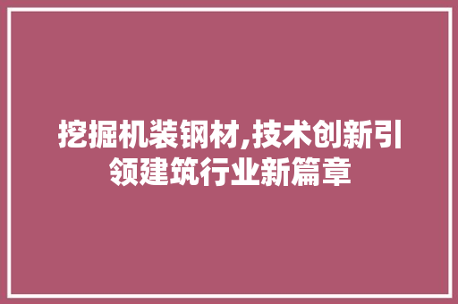 挖掘机装钢材,技术创新引领建筑行业新篇章