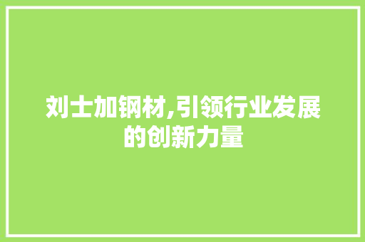 刘士加钢材,引领行业发展的创新力量