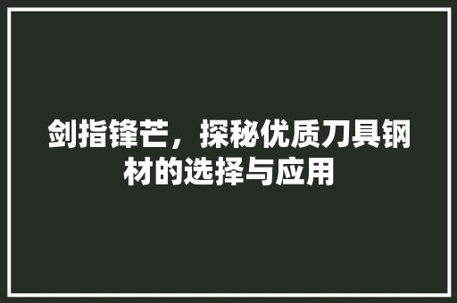 剑指锋芒，探秘优质刀具钢材的选择与应用