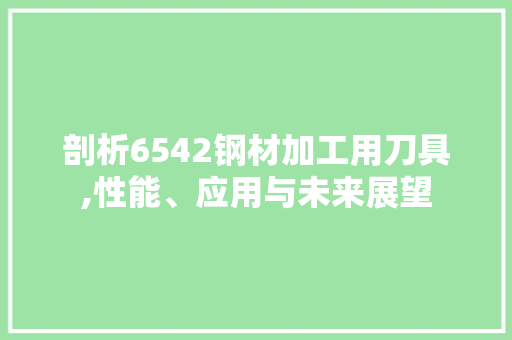 剖析6542钢材加工用刀具,性能、应用与未来展望