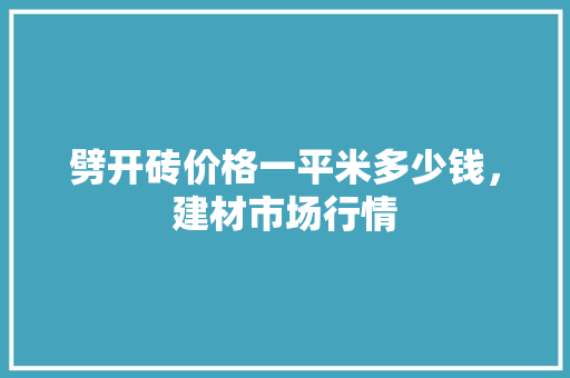 劈开砖价格一平米多少钱，建材市场行情