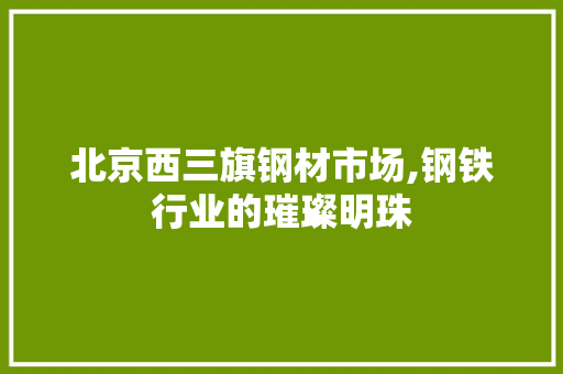 北京西三旗钢材市场,钢铁行业的璀璨明珠